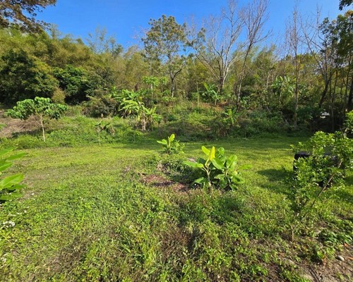屏東瑪家鄉整地工程, 屏東瑪家鄉鋼筋板模, 屏東瑪家鄉混泥土灌漿, 屏東瑪家鄉化糞池開挖安裝, 屏東瑪家鄉管線配電增, 屏東新建衛浴